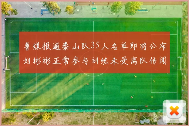 鲁媒报道泰山队35人名单即将公布刘彬彬正常参与训练未受离队传闻影响