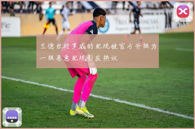 兰德尔对罗威的犯规被官方升级为一级恶意犯规引发热议