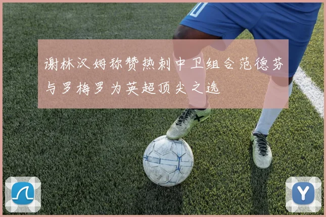 谢林汉姆称赞热刺中卫组合范德芬与罗梅罗为英超顶尖之选