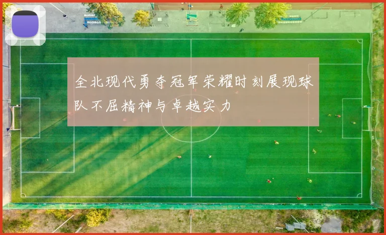 全北现代勇夺冠军荣耀时刻展现球队不屈精神与卓越实力