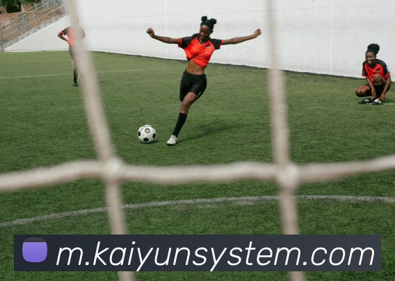 多媒体互动体验