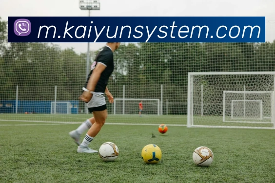 开云体育APP 高清赛事图